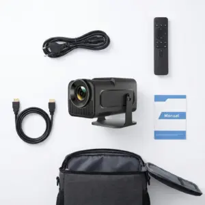 Outdoor Holiday Light Projector — PL